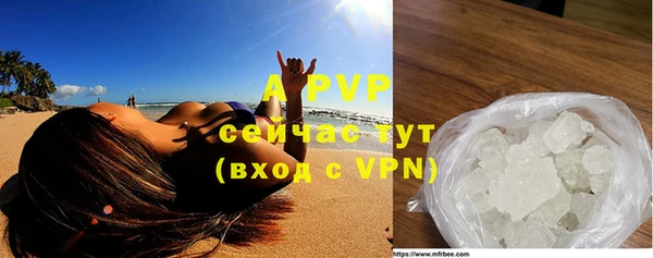 сатива Вязники