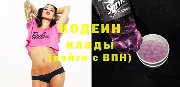 гашик Вязьма