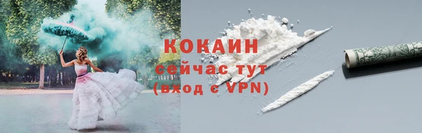 гашик Вязьма