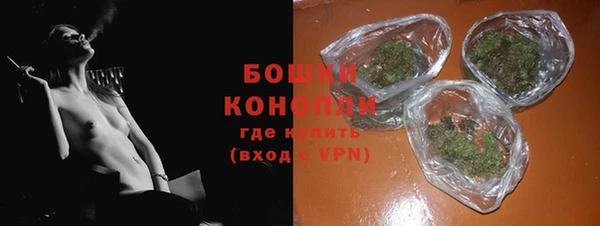 тгк Горнозаводск