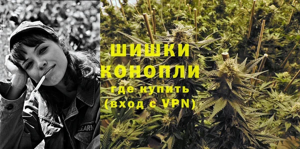Альфа ПВП Горняк