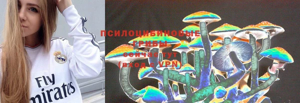 тгк Горнозаводск