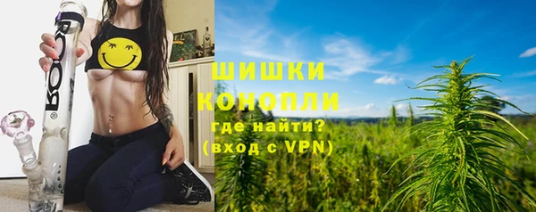 сатива Вязники