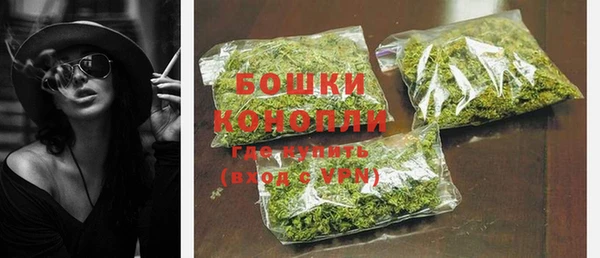 гашик Вязьма