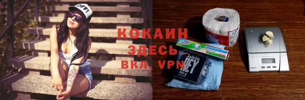 гашик Вязьма