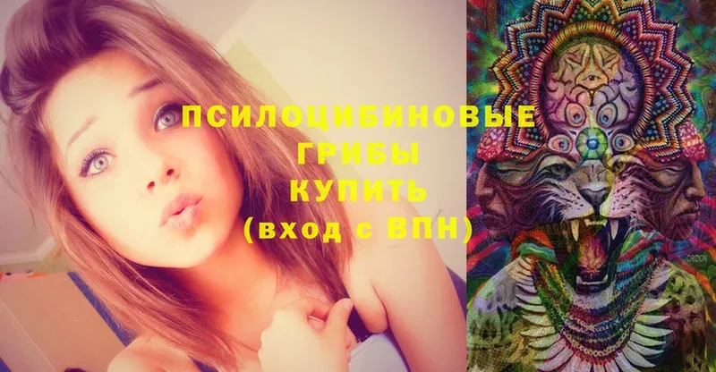 Псилоцибиновые грибы ЛСД  купить наркоту  Енисейск 